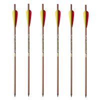 TenPoint Crossbow Technologies 20 inch 2219 Aluminum Arrows, (6 Pack)