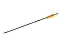 TenPoint Crossbow Technologies, Lighted 20" 2219 Aluminum Arrows, PH/SF100BH